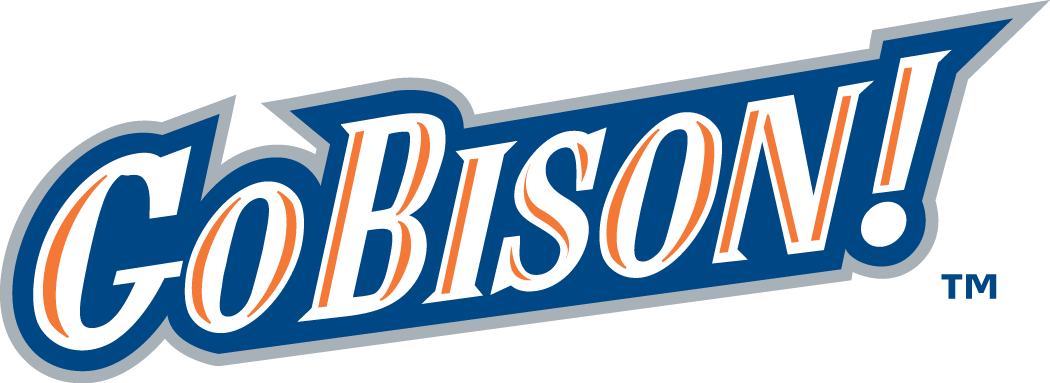 Bucknell Bison 2002-Pres Wordmark Logo 02 iron on paper